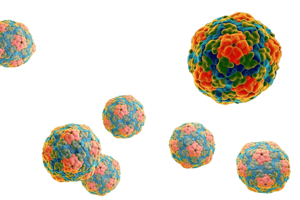 Hepatitis A