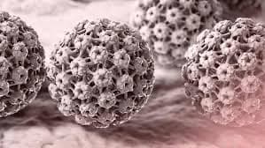 HPV