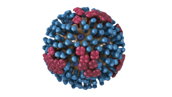 Influenza