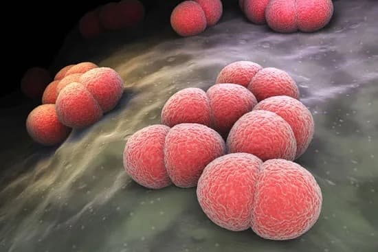 Meningococcal