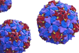 Polio