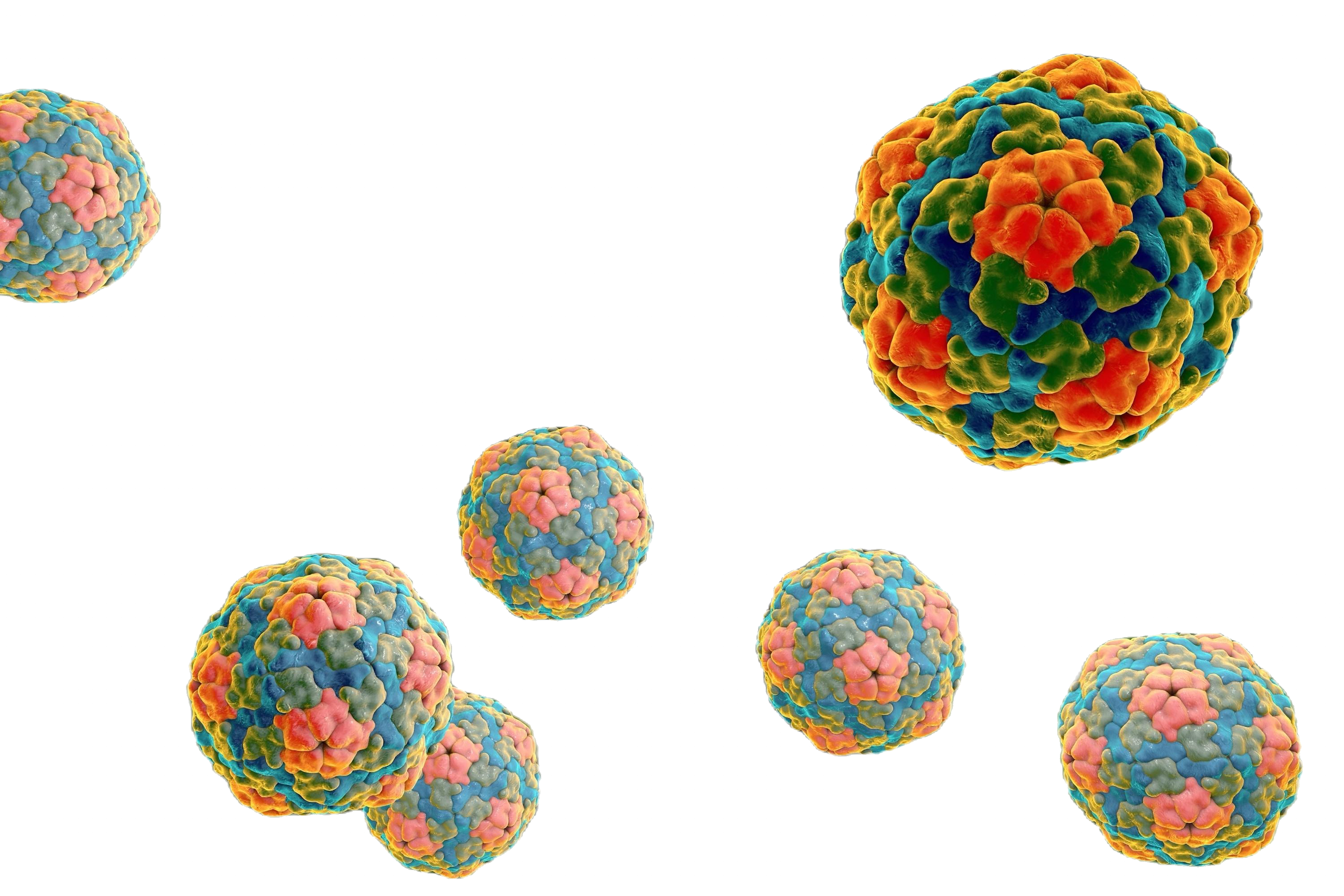 Hepatitis A