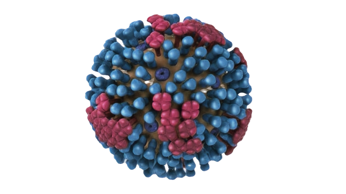 Influenza